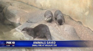 animals-saved - animals-saved