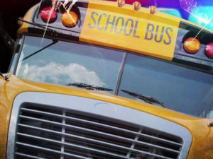school_bus - school_bus