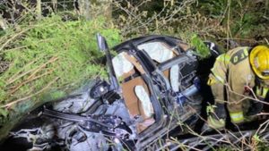 Portable extinguisher stops car fire